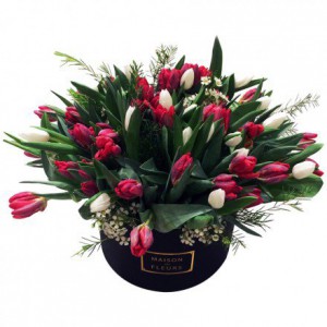 белые тюльпаны, фуксиевые тюльпаны, цветы в коробке, Maison des fleurs