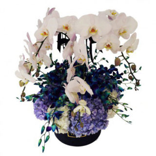 Белые гортензии, синие гортензии, орхидея, Maison des Fleurs, цветы в коробке