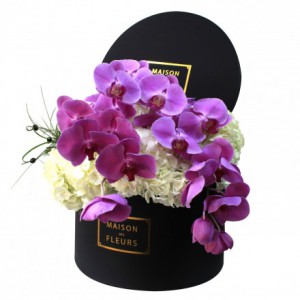 Белые гортензии, орхидея, Maison des Fleurs, цветы в коробке