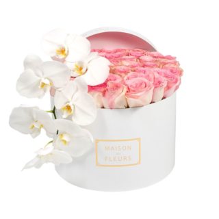 Светло-розовые розы, белая орхидея, Maison des Fleurs, цветы в коробке